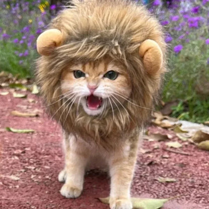 Lion Wig for Pets - Logical Online Shop