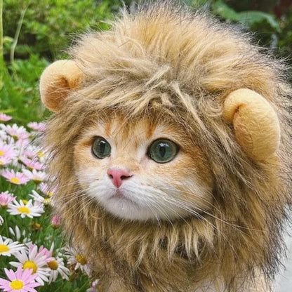 Lion Wig for Pets - Logical Online Shop