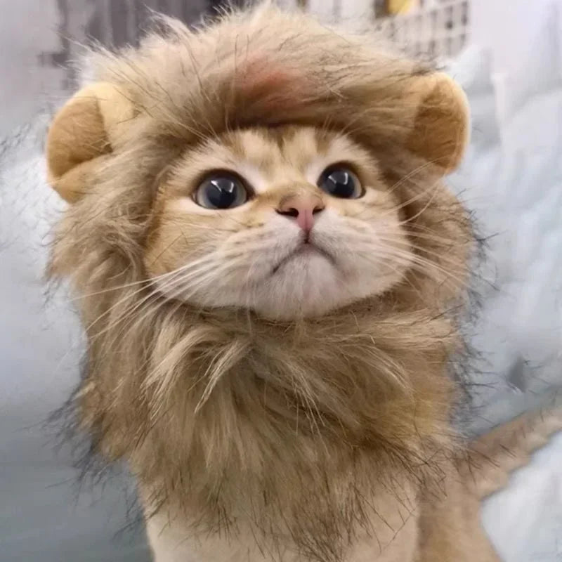 Lion Wig for Pets - Logical Online Shop