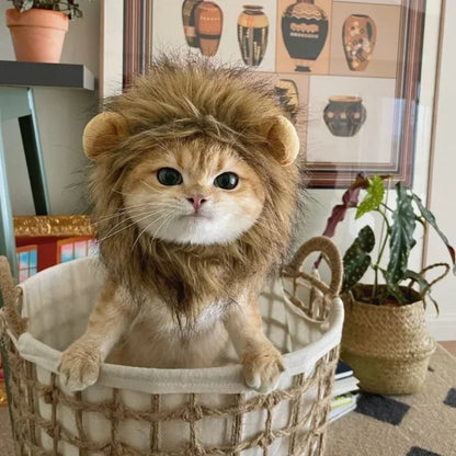 Lion Wig for Pets - Logical Online Shop