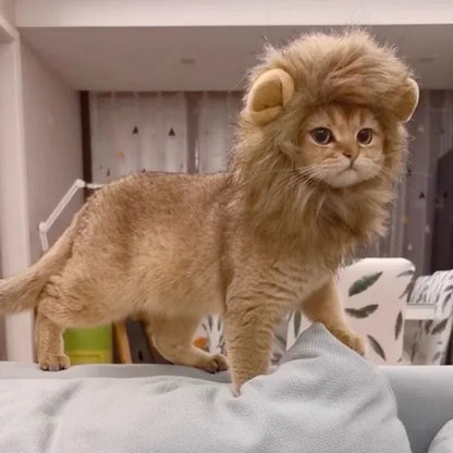 Lion Wig for Pets - Logical Online Shop